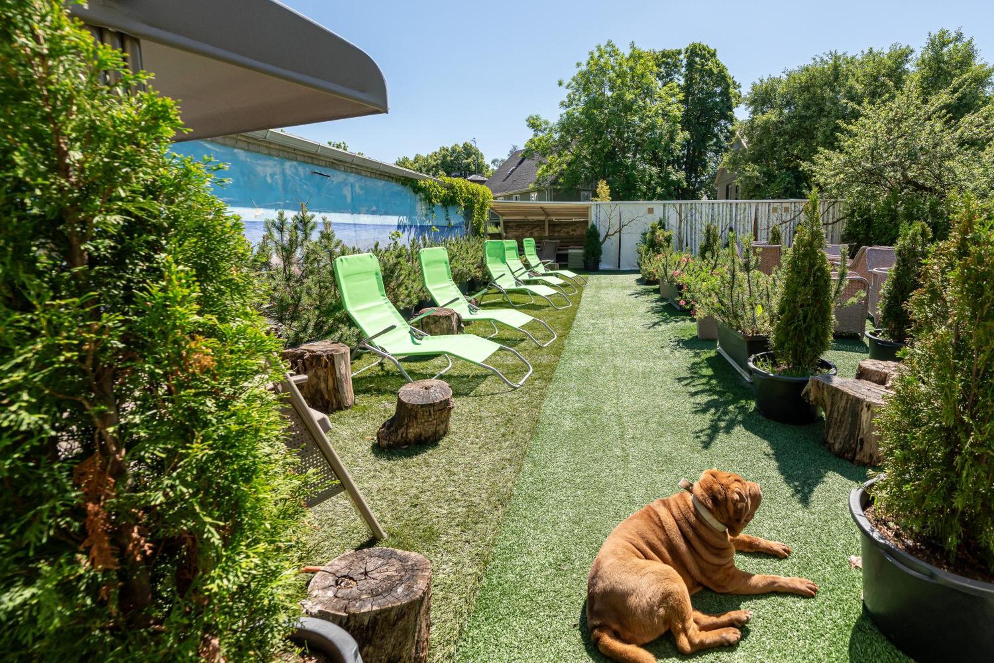 Garden Camping Tallinn Exterior photo