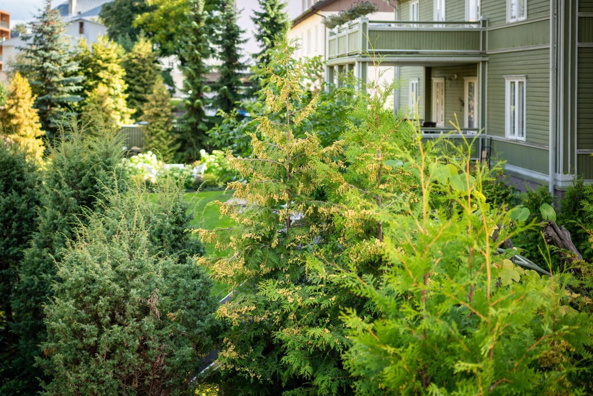 Garden Camping Tallinn Exterior photo